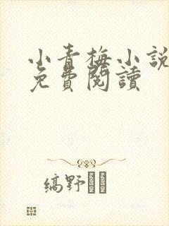 小青梅小说全文免费阅读封面