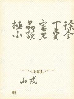 极品家丁徐芷晴小说免费全文在线