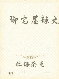 御宅屋辣文