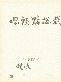 嗯轻点总裁小说