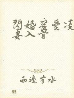 闪婚蜜爱凌总宠妻入骨