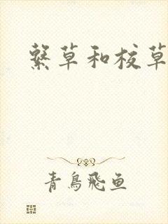 系草和校草
