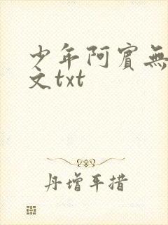 少年阿宾无删全文txt
