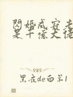 闪婚成宠老公竟是千亿大佬.