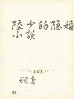 陆少的隐婚罪妻小说