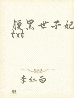 腹黑世子妃日常txt