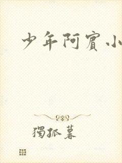 少年阿宾小说封面