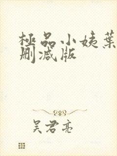 极品小姨叶凡未删减版