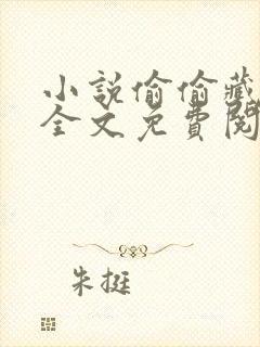 小说偷偷藏不住全文免费阅读完整版