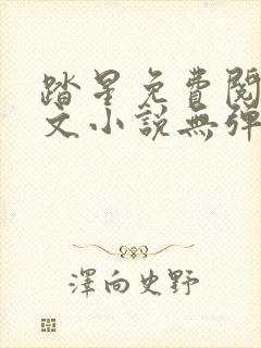 踏星免费阅读全文小说无弹窗