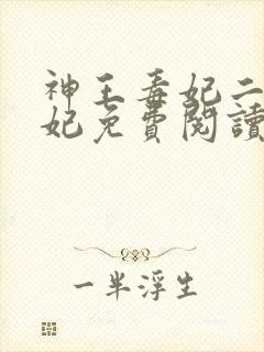 神王毒妃二嫁王妃免费阅读全文