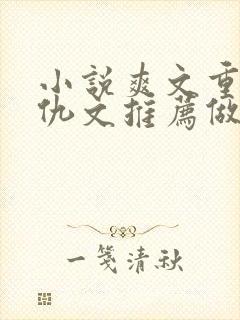 小说爽文重生复仇文推荐做女主
