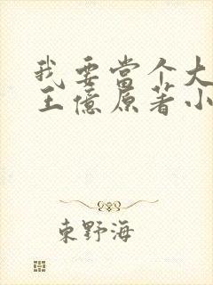 我要当个大坏蛋王亿原著小说免费