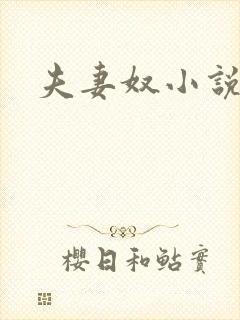 夫妻奴小说