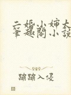 二婚小婶太勾人笔趣阁小说免费阅读