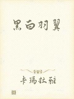 黑白羽翼