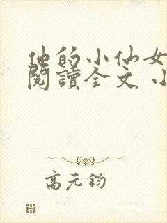 他的小仙女免费阅读全文 小说
