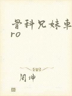 骨科兄妹车多pro