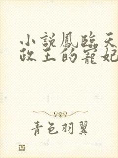 小说凤临天下摄政王的宠妃
