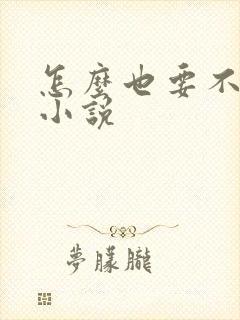 怎么也要不够她小说封面