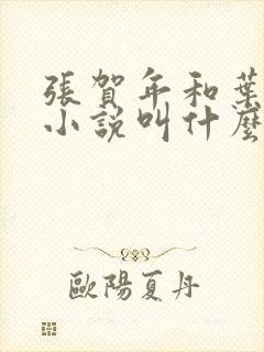 张贺年和叶繁姿小说叫什么名字
