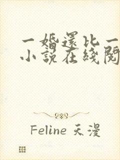 一婚还比一婚高小说在线阅读