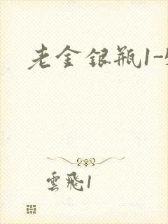 老金银瓶1-5封面