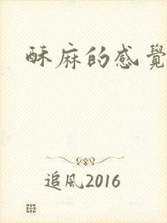 酥麻的感觉小说