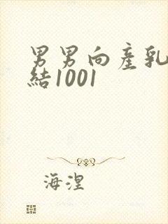 男男向产乳文小结1001封面