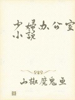 少妇办公室激情小说封面