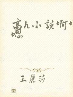高h小说啊啊啊嗯