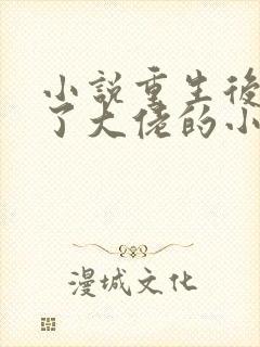 小说重生后我成了大佬的小祖宗全文