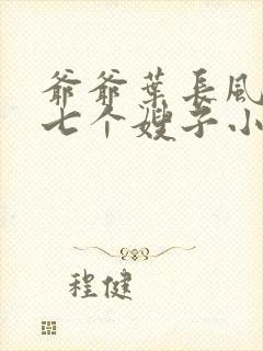 爷爷叶长风叶凡七个嫂子小说名封面