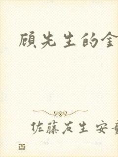 顾先生的金丝雀