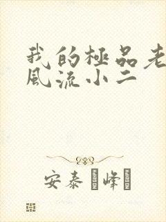 我的极品老婆们风流小二封面