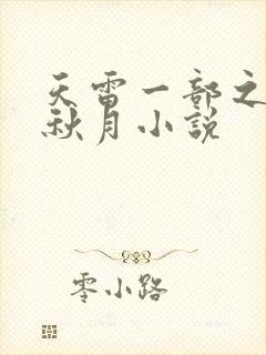 天雷一部之春花秋月小说封面