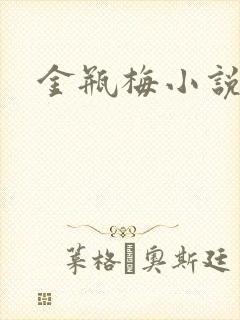 金瓶梅小说