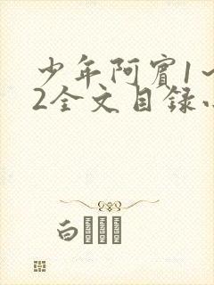 少年阿宾1～72全文目录小说