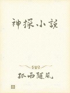 神探小说封面