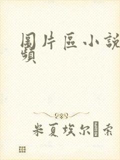 图片区小说区视频