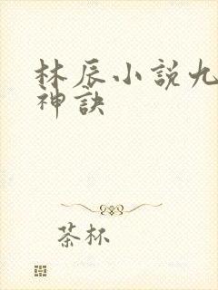 林辰小说九天斩神诀