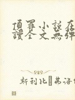 顶罪小说在线阅读全文无弹窗