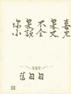 你是不是喜欢我小说全文免费阅读