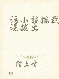 污小说总裁整夜没拔出