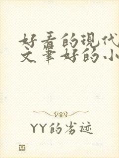 好看的现代言情文笔好的小说
