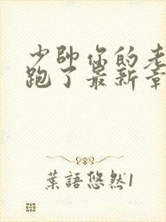 少帅你的老婆又跑了最新章节免费阅读
