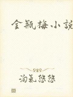 金瓶梅小说在线