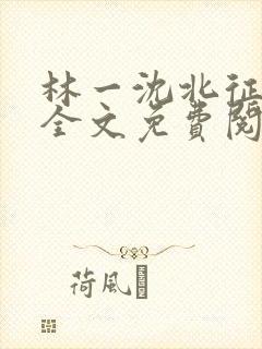 林一沈北征小说全文免费阅读封面