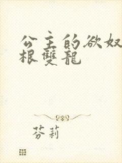 公主的欲奴h四根双龙