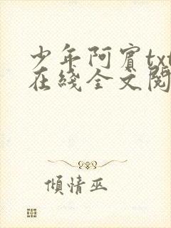 少年阿宾txt在线全文阅读